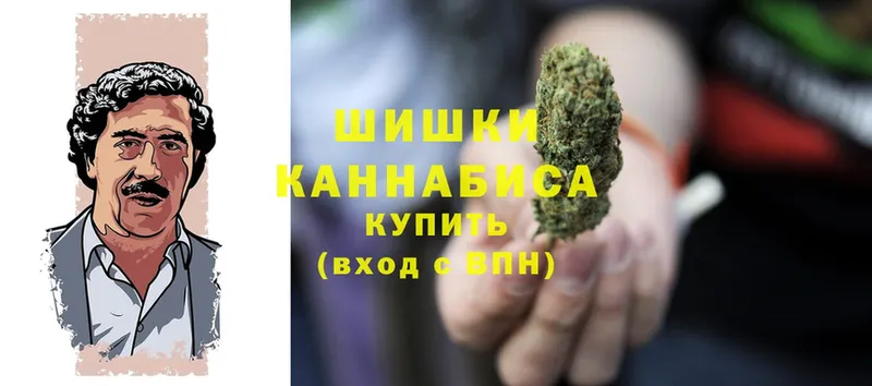 Каннабис Bruce Banner  где продают   MEGA зеркало  Камышин 